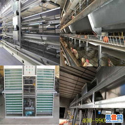 中區(qū)專業(yè)機械設備安裝服務 高效、安全、可靠