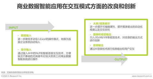 2022年中國商業(yè)數(shù)據(jù)智能行業(yè)研究 標(biāo)準(zhǔn)化服務(wù)的崛起與挑戰(zhàn)